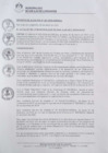 Vista preliminar de documento 0001-2020-MDSJL