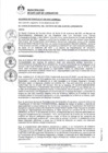 Vista preliminar de documento 0039-2021-MDSJL