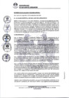 Vista preliminar de documento 0009-2020-MDSJL