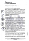 Vista preliminar de documento 0008-2020-MDSJL