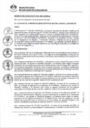 Vista preliminar de documento 0010-2021-MDSJL
