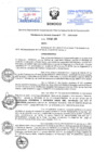 Vista preliminar de documento Resolución de Gerencia General N° 77-2015-03.00