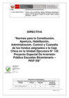 Vista preliminar de documento Directiva_Normas_Constitución_Apertura_Habilitación_Administración_Control_Custodia_de_Caja Chica_2022_PEIP