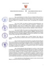 Vista preliminar de documento RER N°183-2022-GR