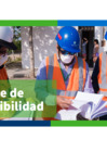 Vista preliminar de documento Reporte de Sostenibilidad 2020_opt.pdf
