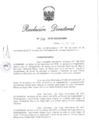 Vista preliminar de documento RD N° 336-2010.pdf