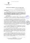 Vista preliminar de documento GDUR-N-090-2019-MDSA