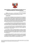Vista preliminar de documento RES 045-2022-SUNARP-SN