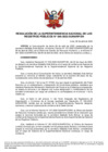 Vista preliminar de documento RES 046-2022-SUNARP-SN
