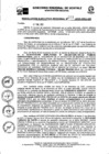 Vista preliminar de documento RER Nro 0009 - 2022-GRU-GR.