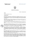 Vista preliminar de documento Resolución Directoral 011-2022-D-HV.pdf