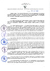 Vista preliminar de documento RES N°076-2022-GRDS