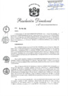 Vista preliminar de documento RD 29-2020-PNSU.pdf