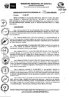 Vista preliminar de documento DIRECTIVA Nro 0013 - 2021-GRU-GRPP-SGDI