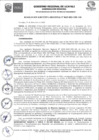 Vista preliminar de documento RER Nro 0625 - 2021-GRU-GR.