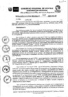 Vista preliminar de documento RER Nro 0607 - 2021-GRU-GR.