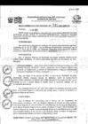 Vista preliminar de documento RER Nro 0541 - 2021-GRU-GR.