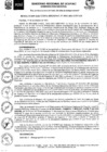 Vista preliminar de documento RER Nro 0532 - 2021-GRU-GR.