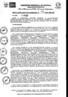 Vista preliminar de documento RER Nro 0530 - 2021-GRU-GR.