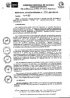 Vista preliminar de documento RER Nro 0518 - 2021-GRU-GR.
