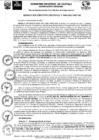 Vista preliminar de documento RER Nro 0480 - 2021-GRU-GR.