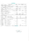 Vista preliminar de documento Saldo de Balance 2019