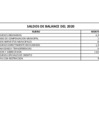 Vista preliminar de documento Saldo de Balance 2020