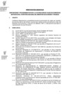 Vista preliminar de documento DIRECTIVA003_2022EF4301.pdf