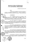 Vista preliminar de documento 41.pdf