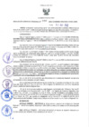 Vista preliminar de documento RGRDS N° 090-2022