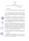 Vista preliminar de documento RER N° 196-2022