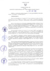 Vista preliminar de documento RER N° 197-2022