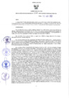 Vista preliminar de documento RER N° 199-2022