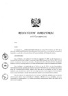 Vista preliminar de documento RD-001-2019-MIMP/DGTEG