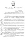 Vista preliminar de documento RSE 038-2019-MINCETUR