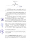 Vista preliminar de documento RER N° 201-2022