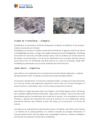 Vista preliminar de documento Ciudades_Hermanas_mdjm.pdf