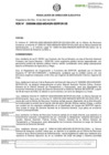 Vista preliminar de documento RDE-000096-2022-DE