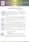 Vista preliminar de documento RA-41-2021.pdf