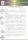 Vista preliminar de documento RA-42-2021.pdf