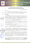Vista preliminar de documento RA-46-2021.pdf