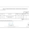 Vista preliminar de documento ANEXO 6 - INFORME.pdf