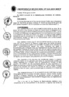 Vista preliminar de documento Ordenanza Municipal N° 018-2019-MPCP