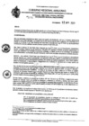 Vista preliminar de documento RDRG Nº294.pdf