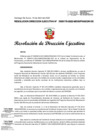 Vista preliminar de documento RESOLUCION DIRECCION EJECUTIVA-000179-2022-DE.pdf