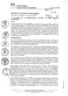 Vista preliminar de documento 0003-2022-MDSJL