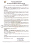 Vista preliminar de documento ROAT_170_2022_MDI.pdf