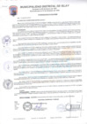 Vista preliminar de documento Acuerdo de Consejo N°205.pdf
