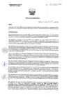 Vista preliminar de documento Resolución Directoral 124-2021-D-HV.pdf