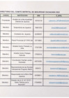 Vista preliminar de documento directorio CODISEC_2.pdf